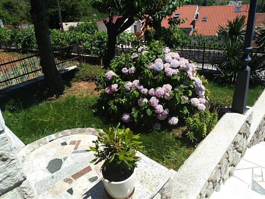 Apartment Mediterranean Garden Fiume Esterno foto