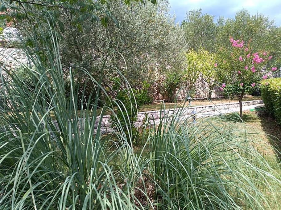Apartment Mediterranean Garden Fiume Esterno foto