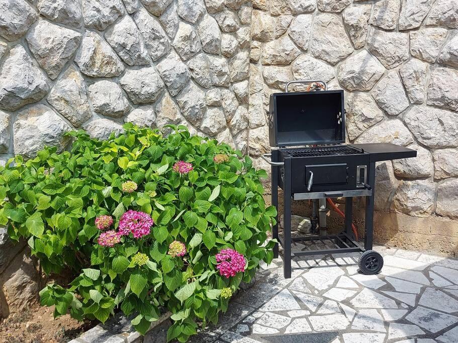 Apartment Mediterranean Garden Fiume Esterno foto